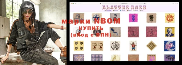 шишки Козельск