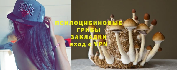 шишки Козельск