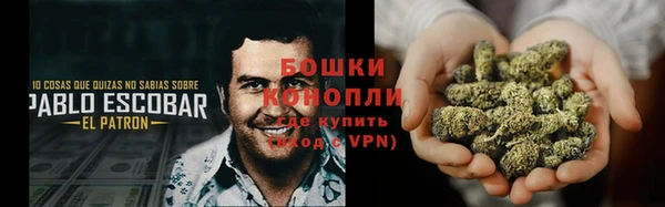 шишки Козельск