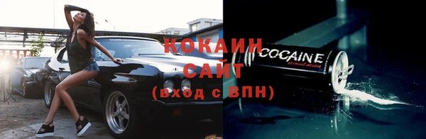 шишки Козельск
