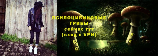 ECSTASY Козловка