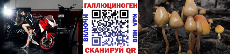 Галлюциногенные грибы MAGIC MUSHROOMS  Купить закладки  Уржум 